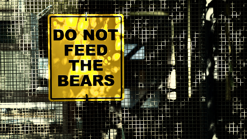 Do not feed the bears