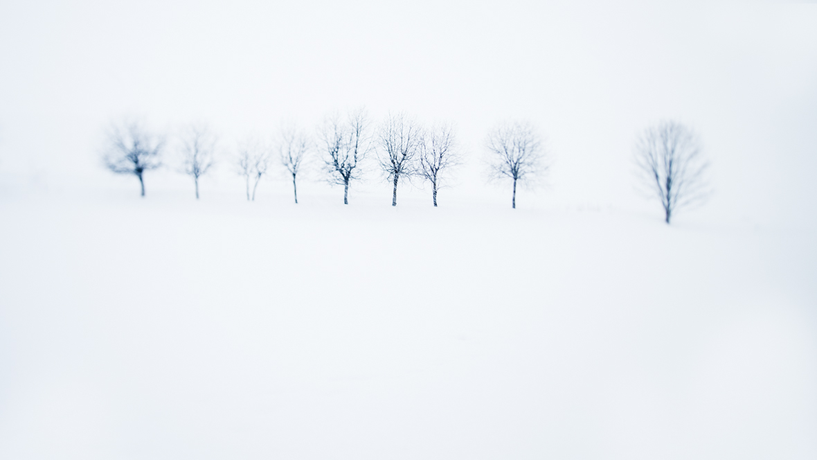 A winter wonderland